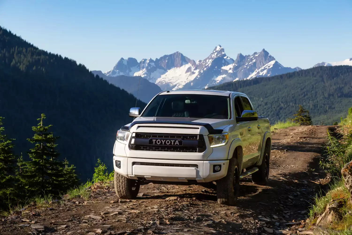 Toyota Tacoma car trash can