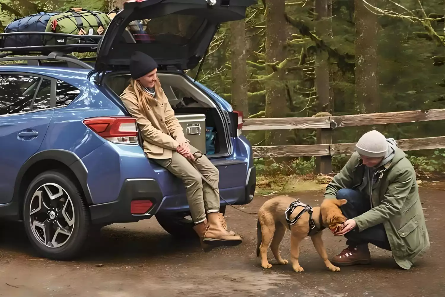 Subaru Outback organizer for road trip