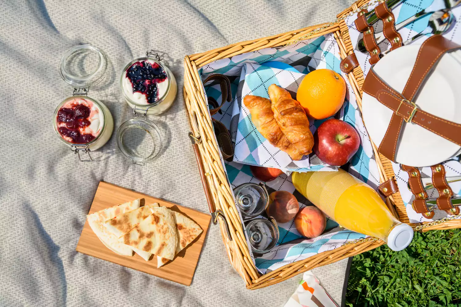 picnic blanket throw