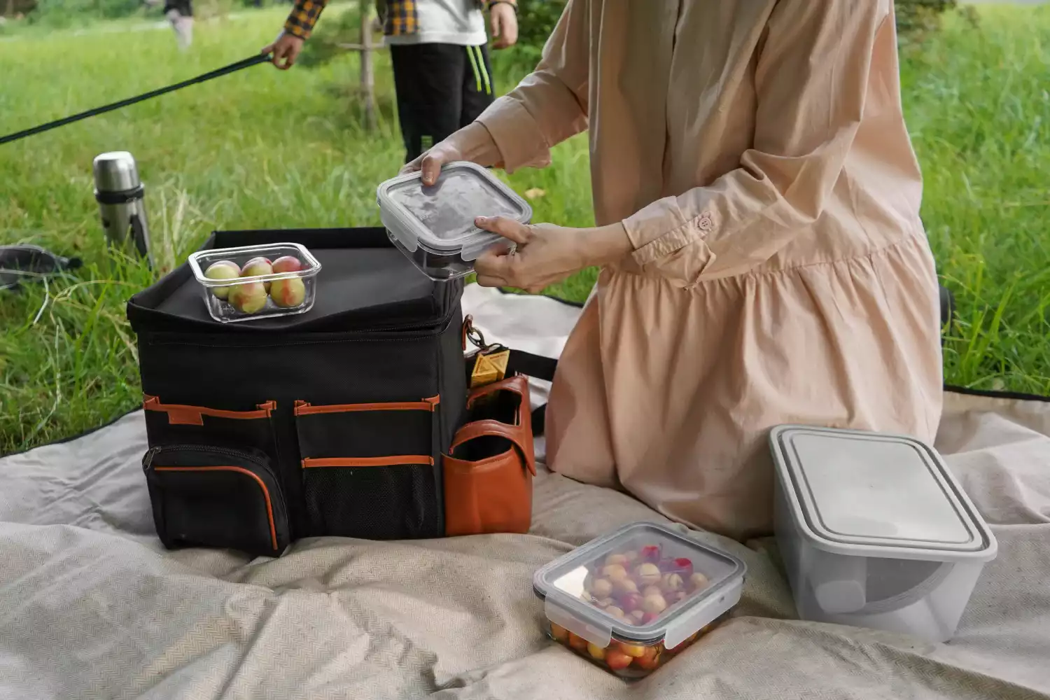 Subaru Outback organizer for road trip