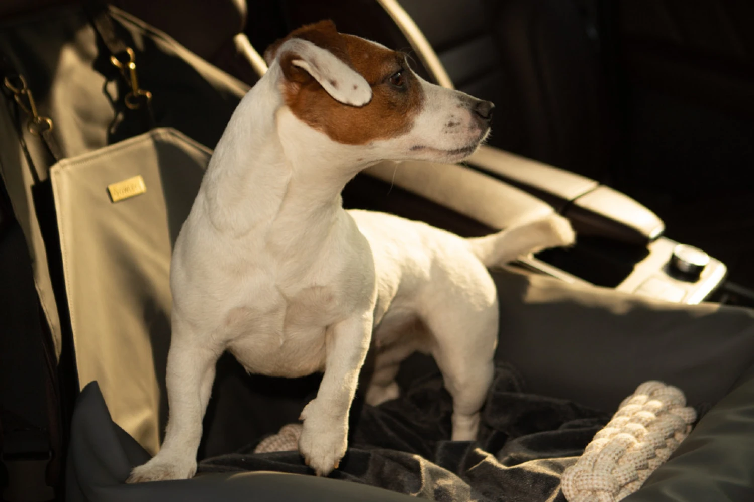 Toyota Tacoma Dog Car Seat for American Eskimo Dogs