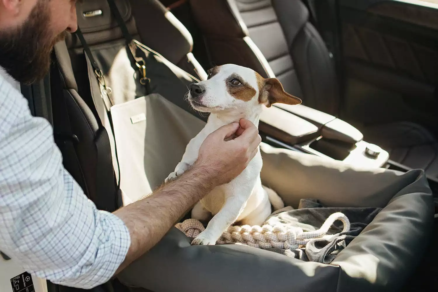 Beagles Dog Car Seat for Chevrolet Camaro