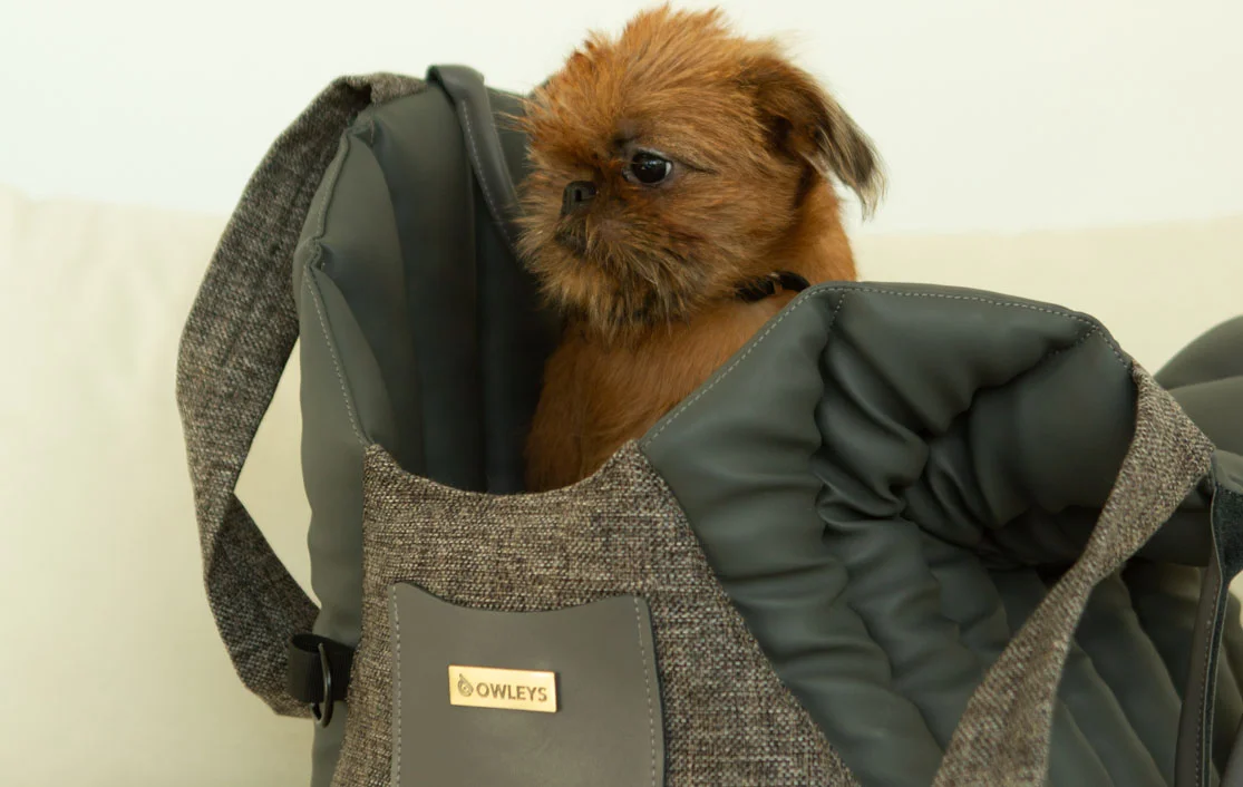 Bolognese Dog Carrier Car Seat for Mercedes-Benz C-Class