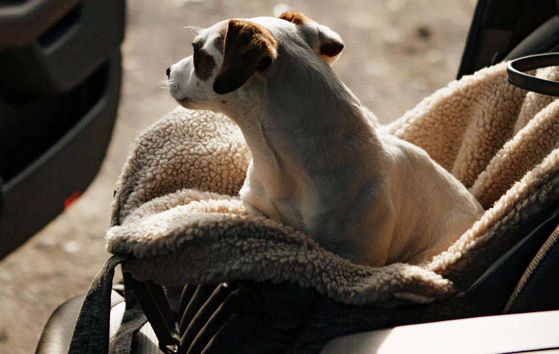 Bolognese Dog Carrier Car Seat for Mercedes-Benz C-Class