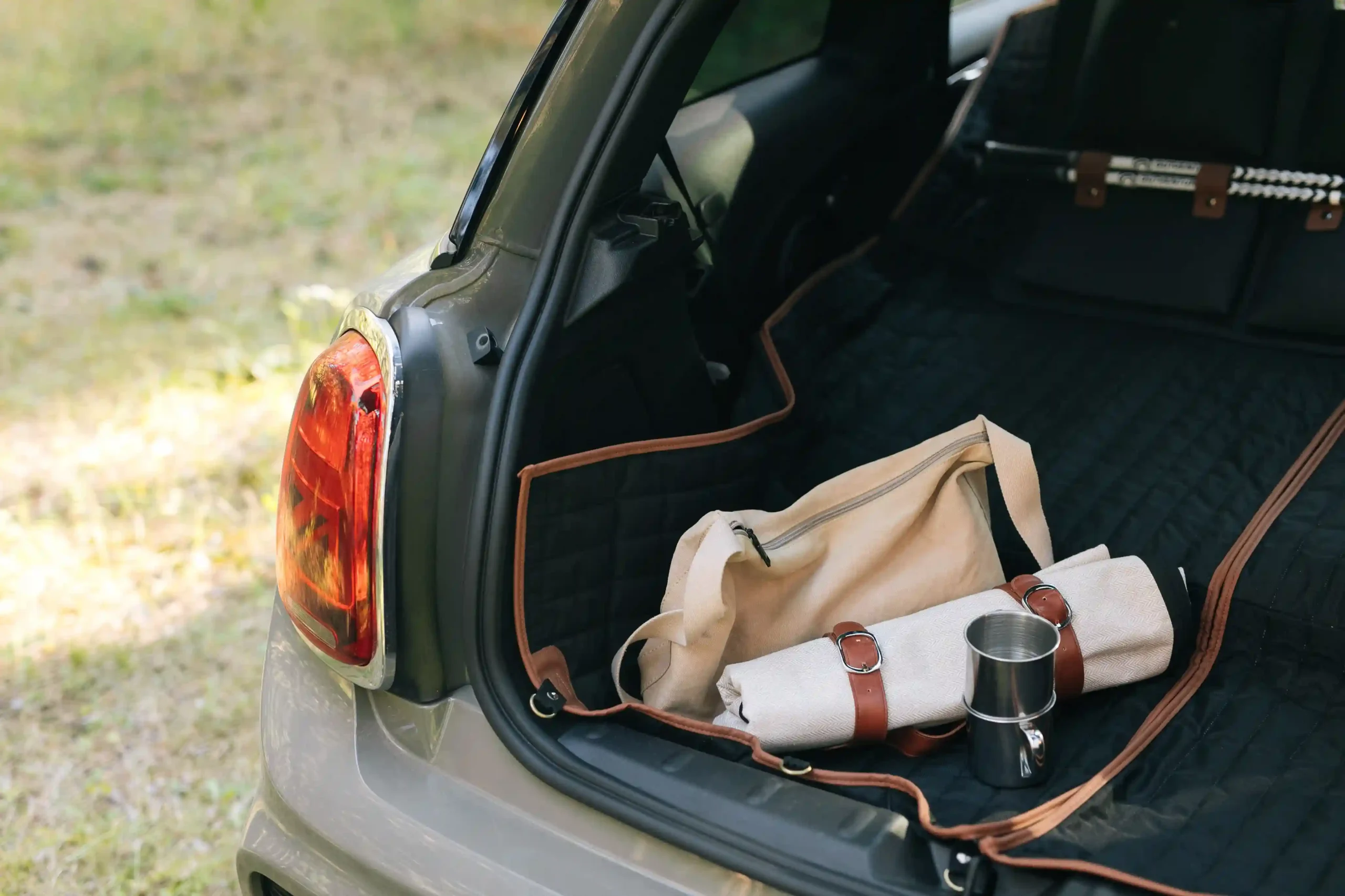 picnic blanket folds into bag